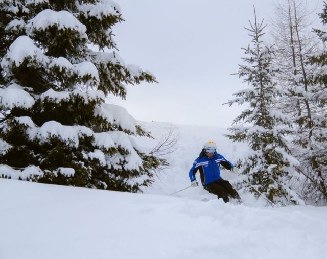 Ski- und Snowboardschule San Cassiano in Alta Badia Bild: Ski- und Snowboardschule San Cassiano